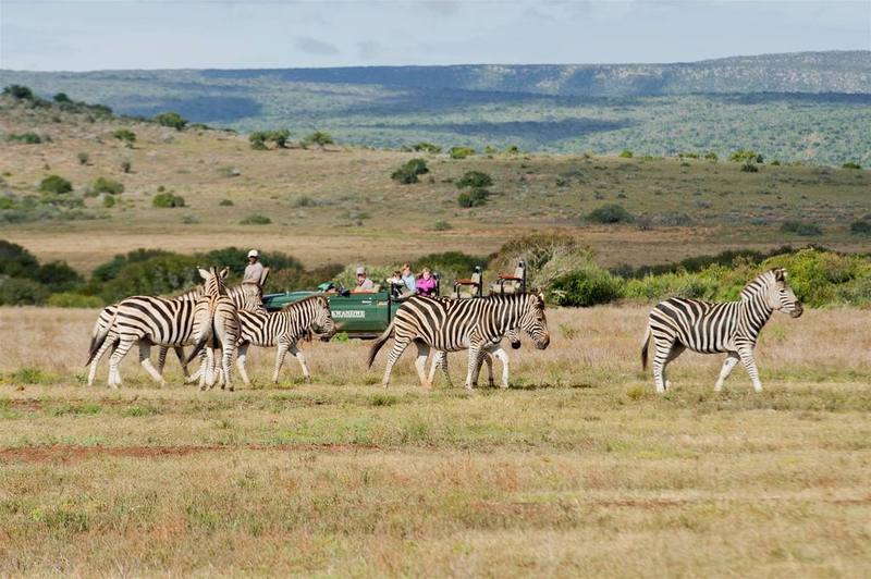 Kwandwe Private Game Reserve - Great Fish River Lodge Grahamstown Exterior photo