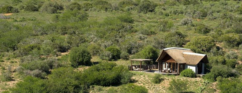 Kwandwe Private Game Reserve - Great Fish River Lodge Grahamstown Exterior photo